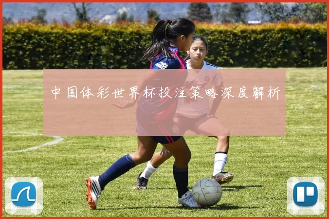 中国体彩世界杯投注策略深度解析