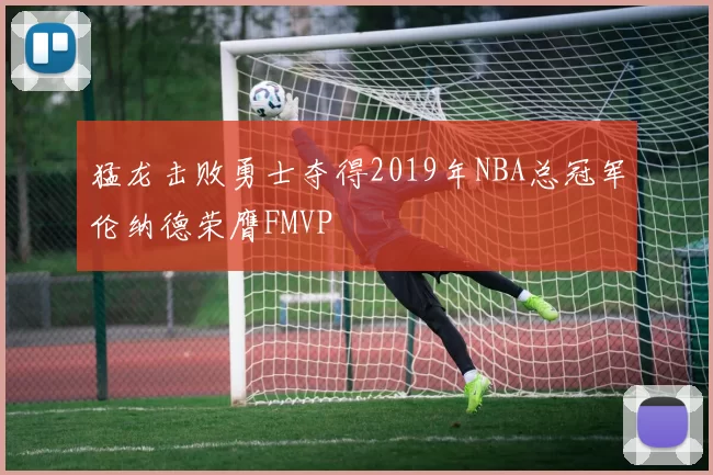 猛龙击败勇士夺得2019年NBA总冠军伦纳德荣膺FMVP