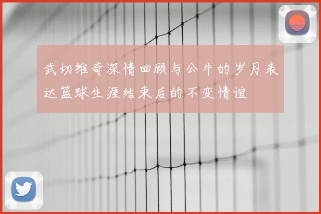 武切维奇深情回顾与公牛的岁月表达篮球生涯结束后的不变情谊