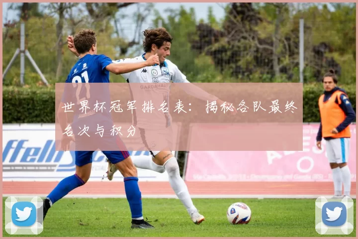 世界杯冠军排名表：揭秘各队最终名次与积分