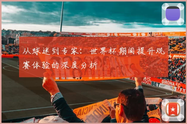 从球迷到专家：世界杯期间提升观赛体验的深度分析
