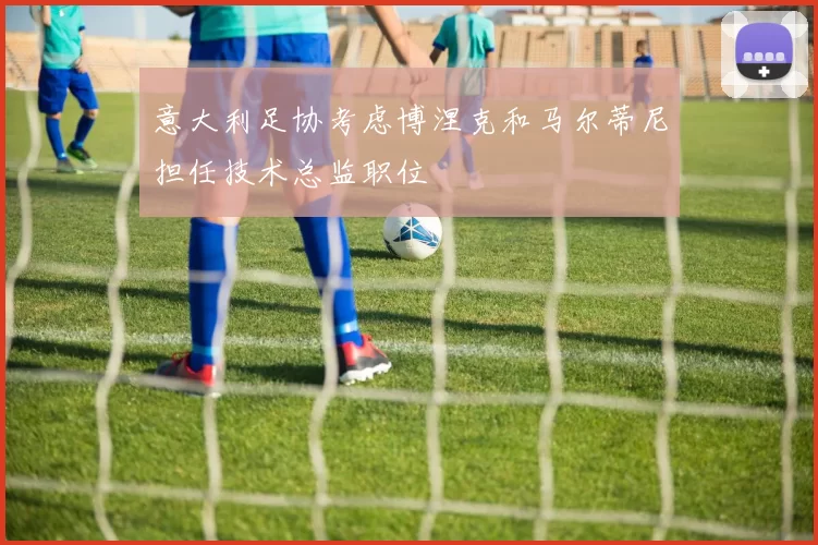 意大利足协考虑博涅克和马尔蒂尼担任技术总监职位