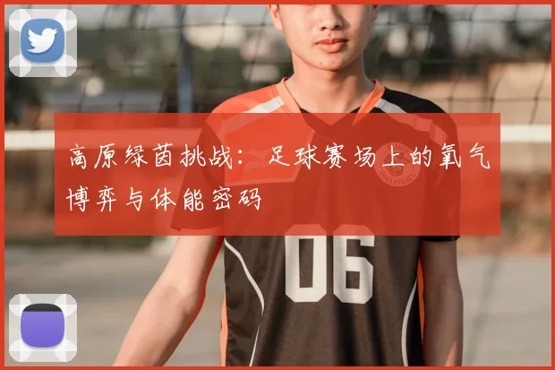 高原绿茵挑战:足球赛场上的氧气博弈与体能密码