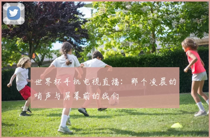 世界杯手机电视直播:那个凌晨的哨声与屏幕前的我们