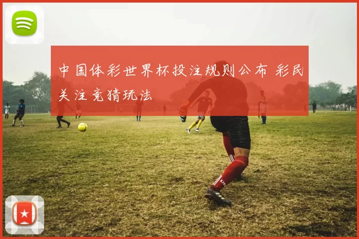 中国体彩世界杯投注规则公布 彩民关注竞猜玩法