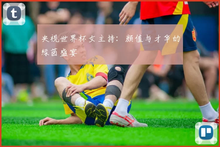 央视世界杯女主持：颜值与才华的绿茵盛宴