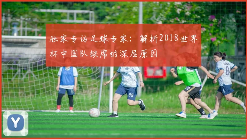 独家专访足球专家:解析2018世界杯中国队缺席的深层原因