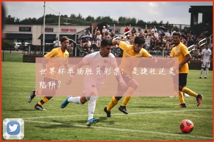 世界杯单场胜负彩票:是捷径还是陷阱?