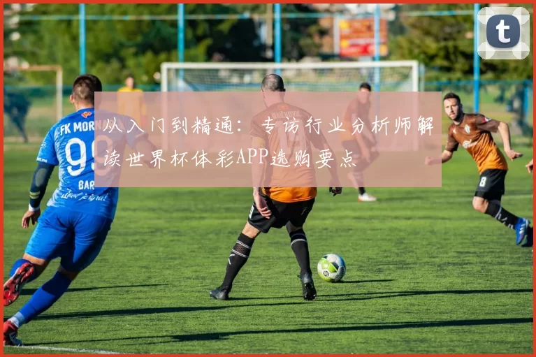从入门到精通:专访行业分析师解读世界杯体彩APP选购要点
