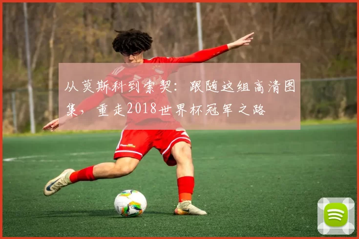 从莫斯科到索契:跟随这组高清图集,重走2018世界杯冠军之路
