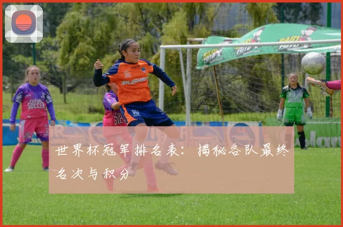 世界杯冠军排名表：揭秘各队最终名次与积分