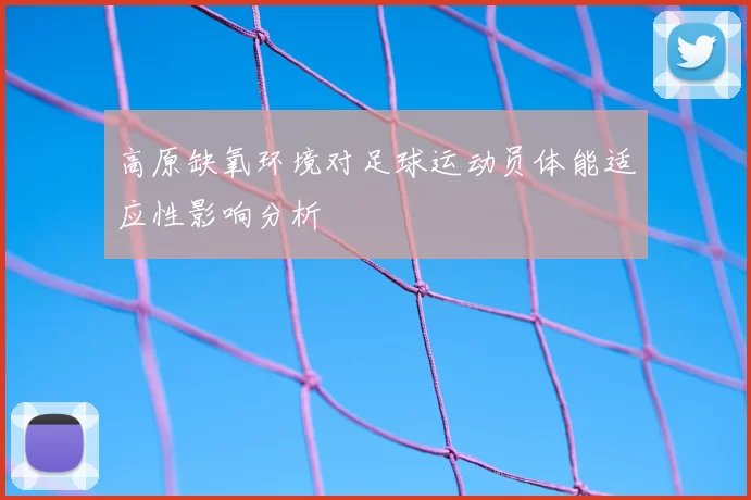 高原缺氧环境对足球运动员体能适应性影响分析