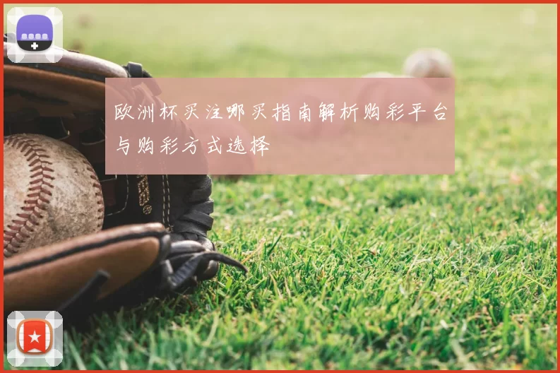 欧洲杯买注哪买指南解析购彩平台与购彩方式选择
