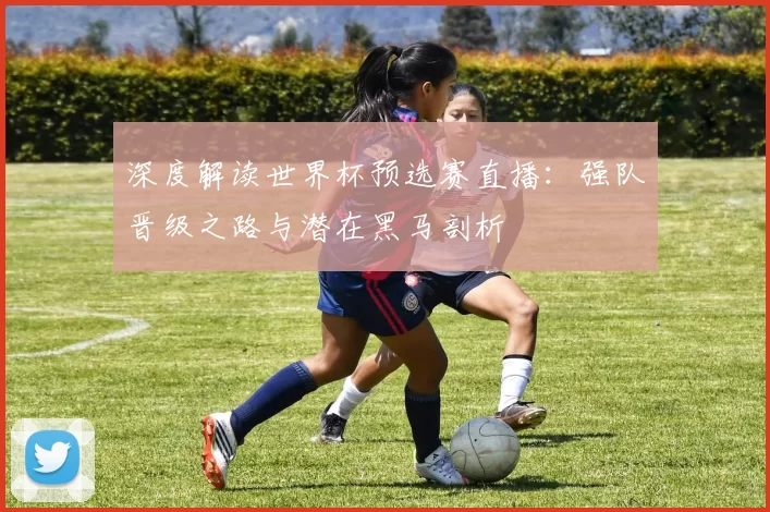 深度解读世界杯预选赛直播:强队晋级之路与潜在黑马剖析