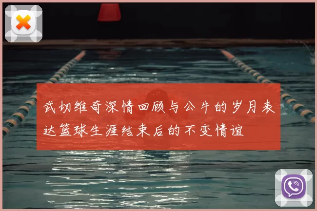 武切维奇深情回顾与公牛的岁月表达篮球生涯结束后的不变情谊