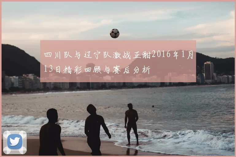 四川队与辽宁队激战正酣2016年1月13日精彩回顾与赛后分析