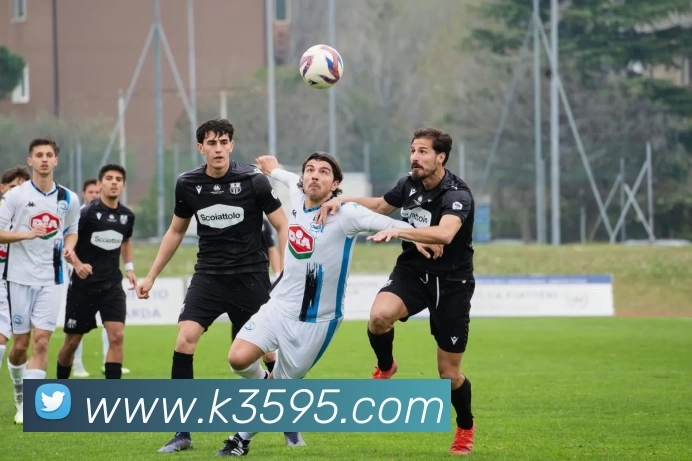 星空体育平台生态图