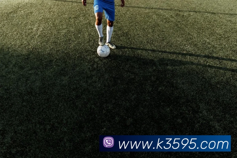 星空体育APP 封面图